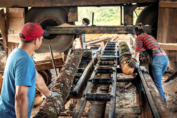 Woman in work clothes carrying a large log in a sawmill