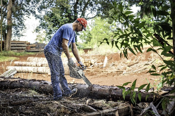 A man cutting wood with a chainsaw