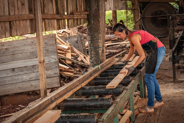 Woman working at the lumberyack
