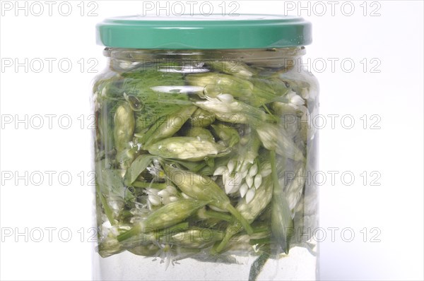 Wild garlic flower bud in lacto fermented