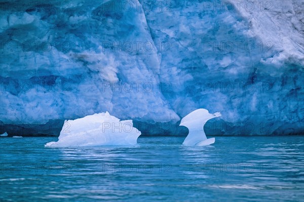 Melting ice floe in the water by a glacier in Svalbard