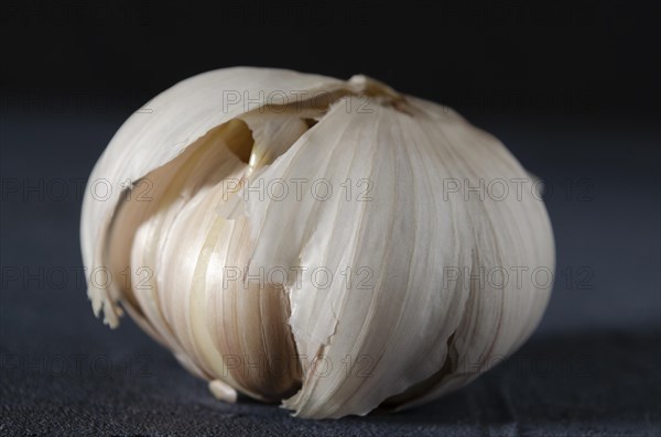 The garlic