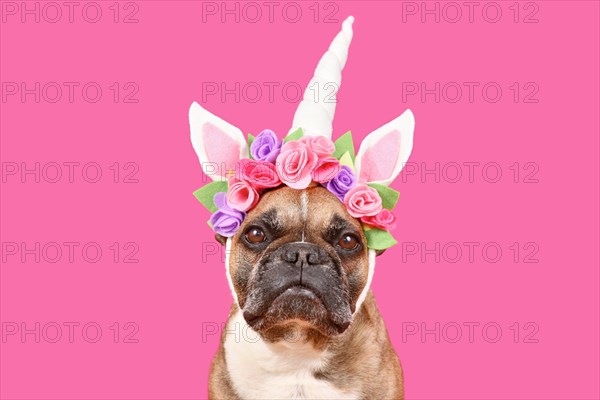 French Bulldog dog wearing unicorn costume headband with flowers in front of pink background