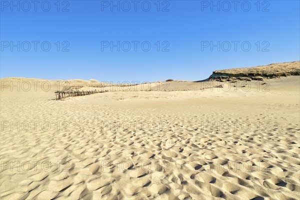 Beautiful view of nordic sand dunes at Curonian spit