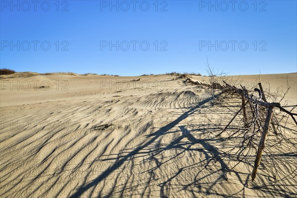 Beautiful view of nordic sand dunes and protective fences at Curonian spit