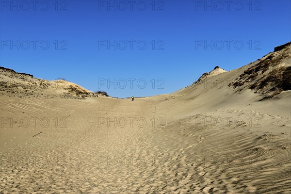 Nordic sand dunes