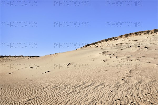 Nordic dunes