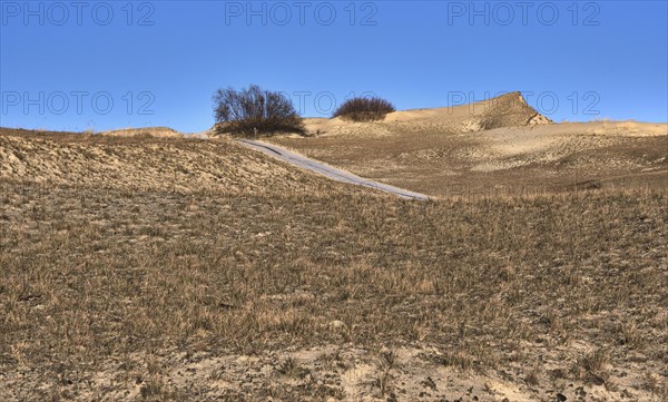 Nordic dunes and pathways