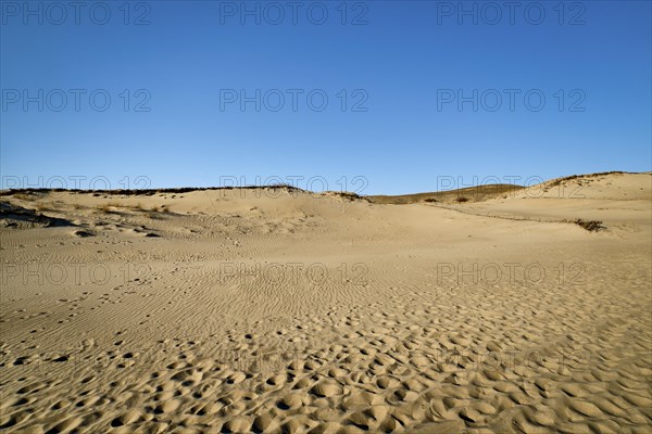 Nordic sand dunes