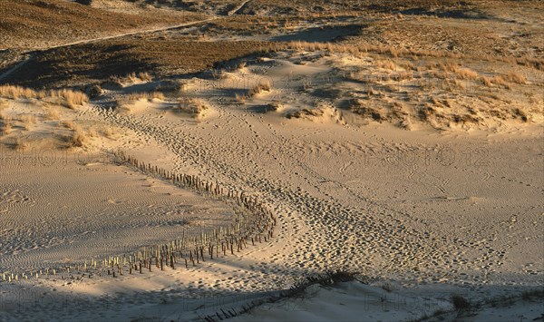 Early spring nature of nordic dunes