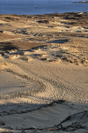 Early spring nature of nordic dunes