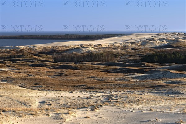 Early spring nature of nordic dunes