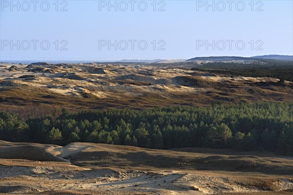 Early spring nature of nordic dunes