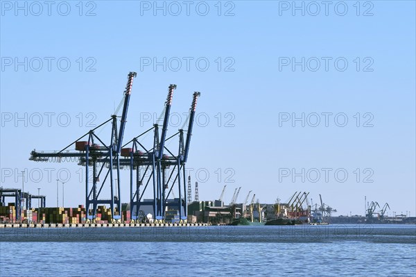 View of port cranes