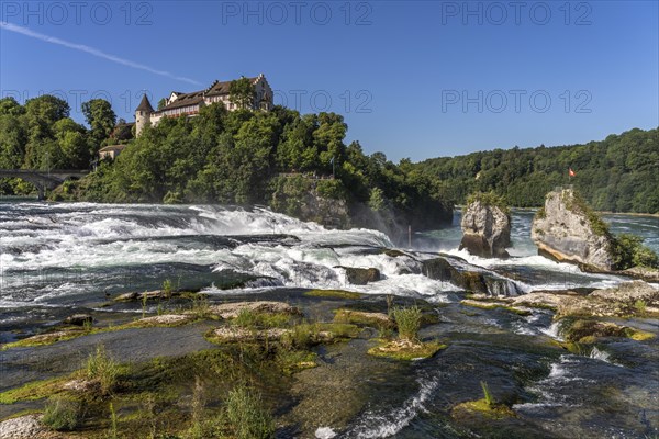 Rhine Falls and Laufen Castle near Neuhausen am Rheinfall