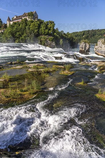 Rhine Falls and Laufen Castle near Neuhausen am Rheinfall