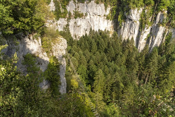 View of the gorge with the Echelles de la Mort death ladders in the Doubs valley