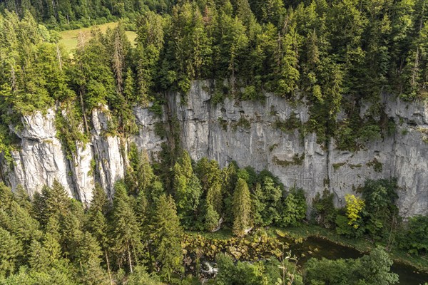 View into the gorge at the Echelles de la Mort death ladders in the Doubs valley