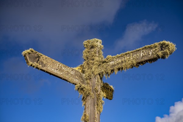 Moss-covered signpost El Sabinal and Ermita de los Reyes