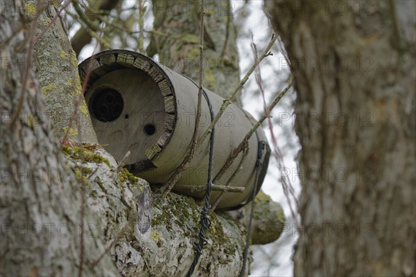 Owl nest box