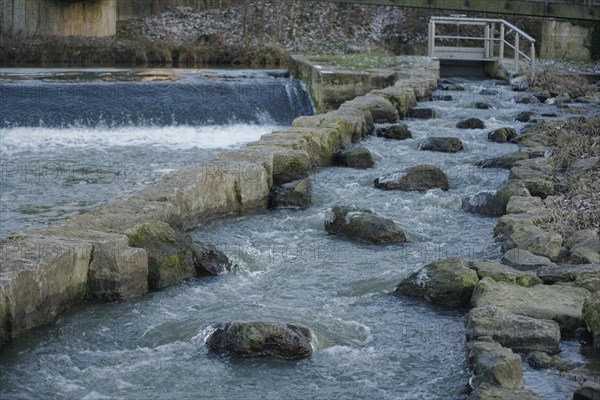 Fish ladder