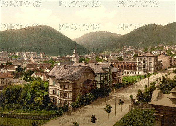 Friedrichrhoda in Thuringia