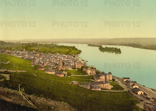 Town of Rüdesheim am Rhein