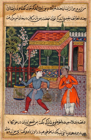 The merchant of Tirmiz brings the wise parrot and myna to 'Ubaid
