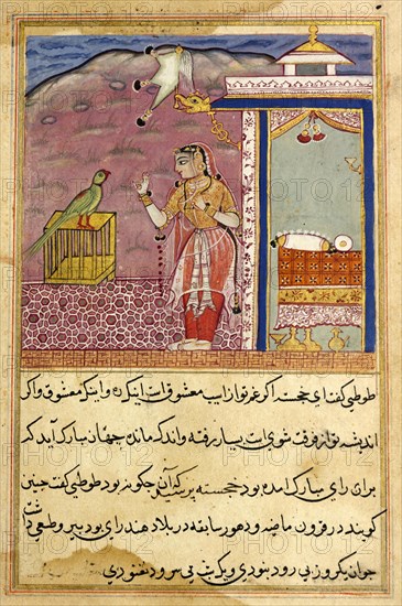 The parrot speaks to Khujasta at the beginning of the forty-fourth night