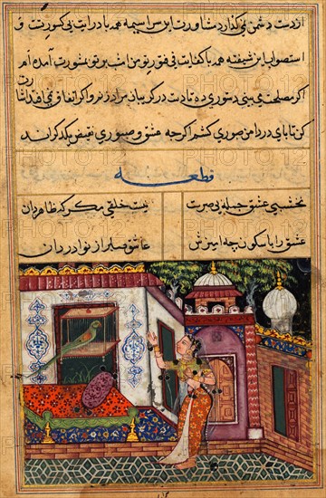 The parrot speaks to Khujasta at the beginning of the eleventh night