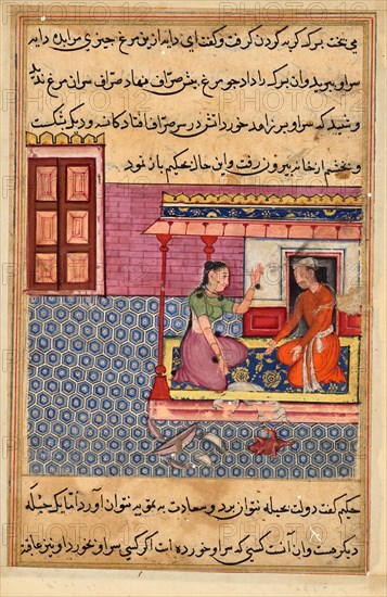The pious man's woman offers her lover the seven-coloured bird to eat