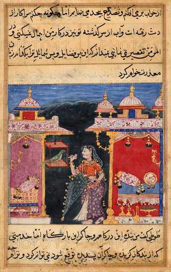 The parrot speaks to Khujasta at the beginning of the seventh night