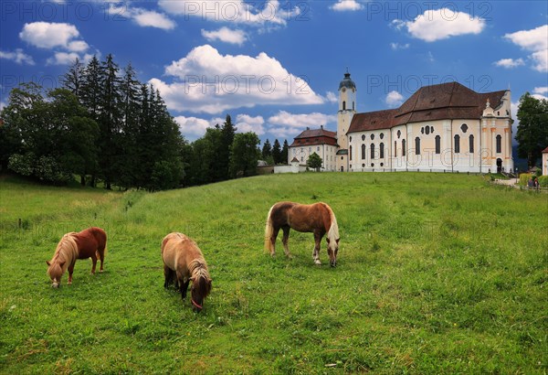 Pilgrimage Church of the Flagellated Saviour on the Wies