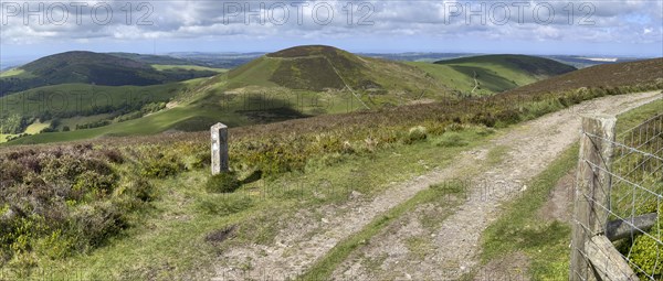 Waymarker and round fort at Moel Arthur