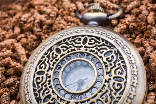 Mechanical retro styled pocket watch in view