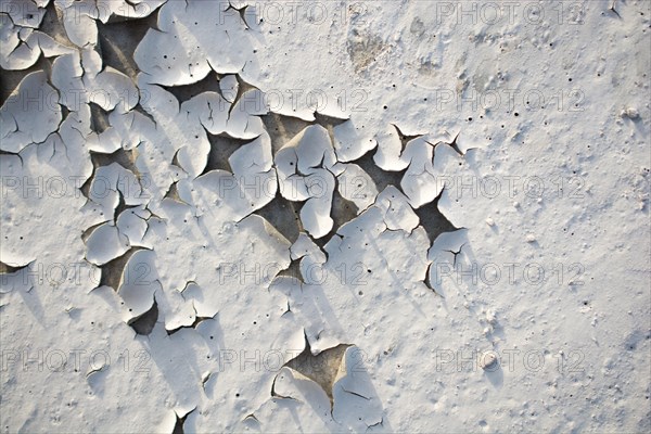 Patterns on a freshly poured concrete surface