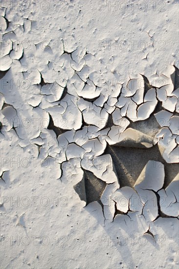 Patterns on a freshly poured concrete surface