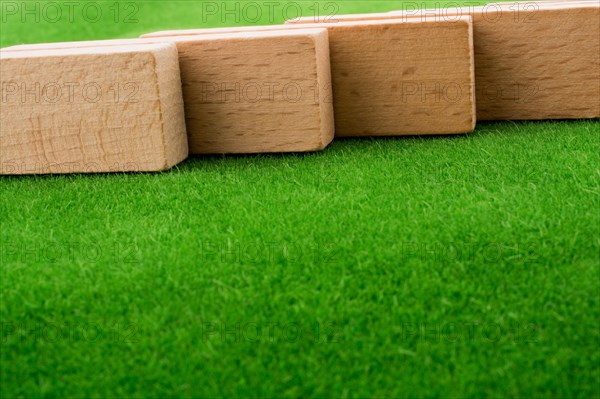 Wooden dominos on green grass