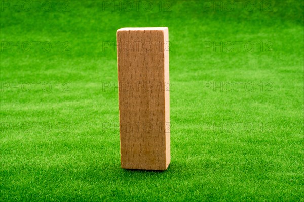 Wooden domino on green grass