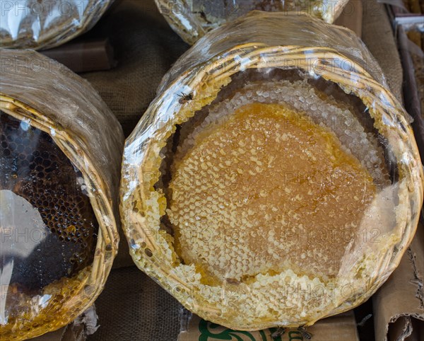 Sweet fresh honey in the sealed comb frame