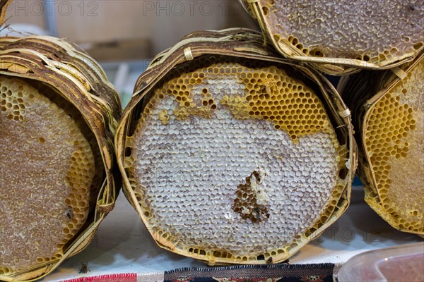 Sweet fresh honey in the sealed comb frame