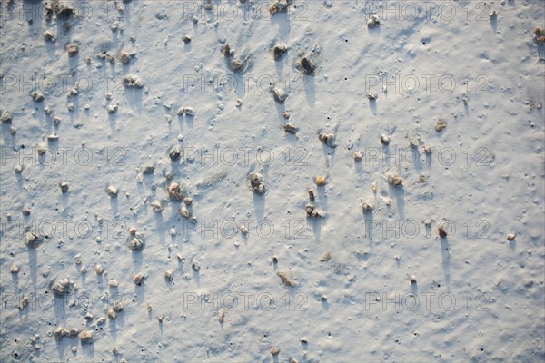 Patterns on a freshly poured concrete surface