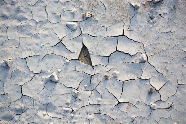 Patterns on a freshly poured concrete surface