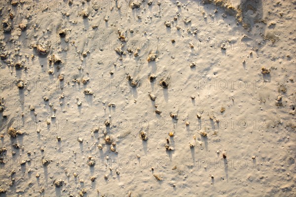 Patterns on a freshly poured concrete surface