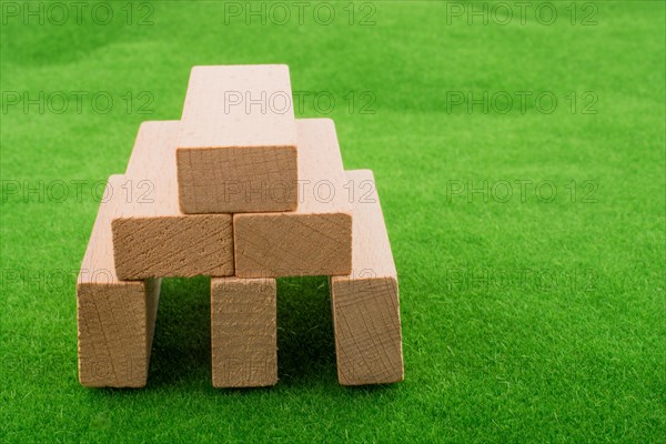 Wooden dominos on green grass