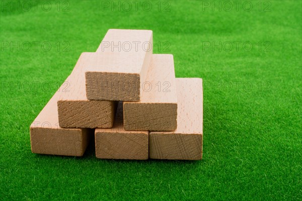 Wooden dominos on green grass