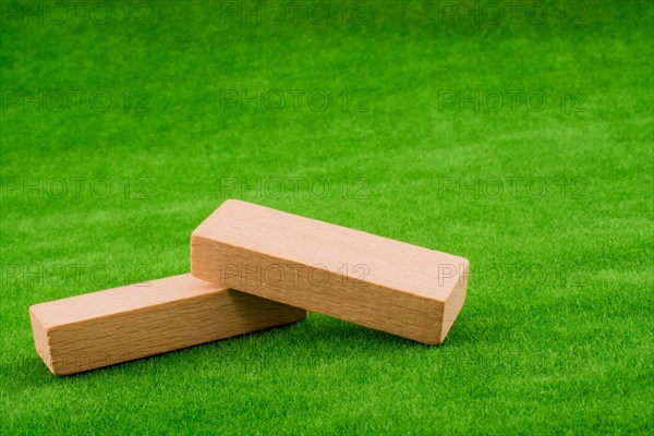 Wooden dominos on green grass