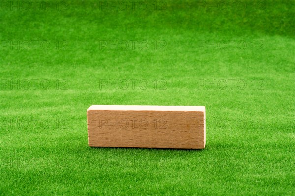 Wooden domino on green grass