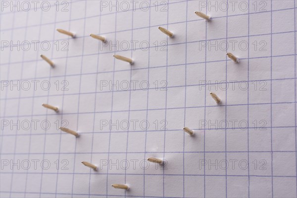 Nails make hole on paper forming a heart shape