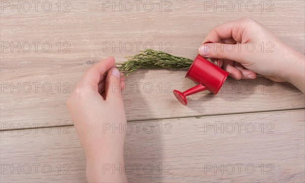 Little red watering can with leaves in hand